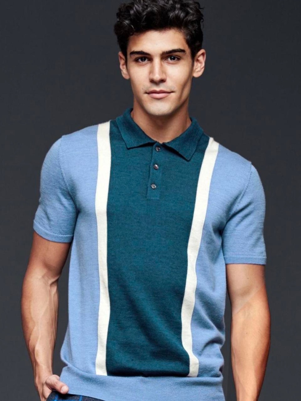 GAP x David Hart Knit Polo Shirt sweater Size Large Blue Stripe  merino wool